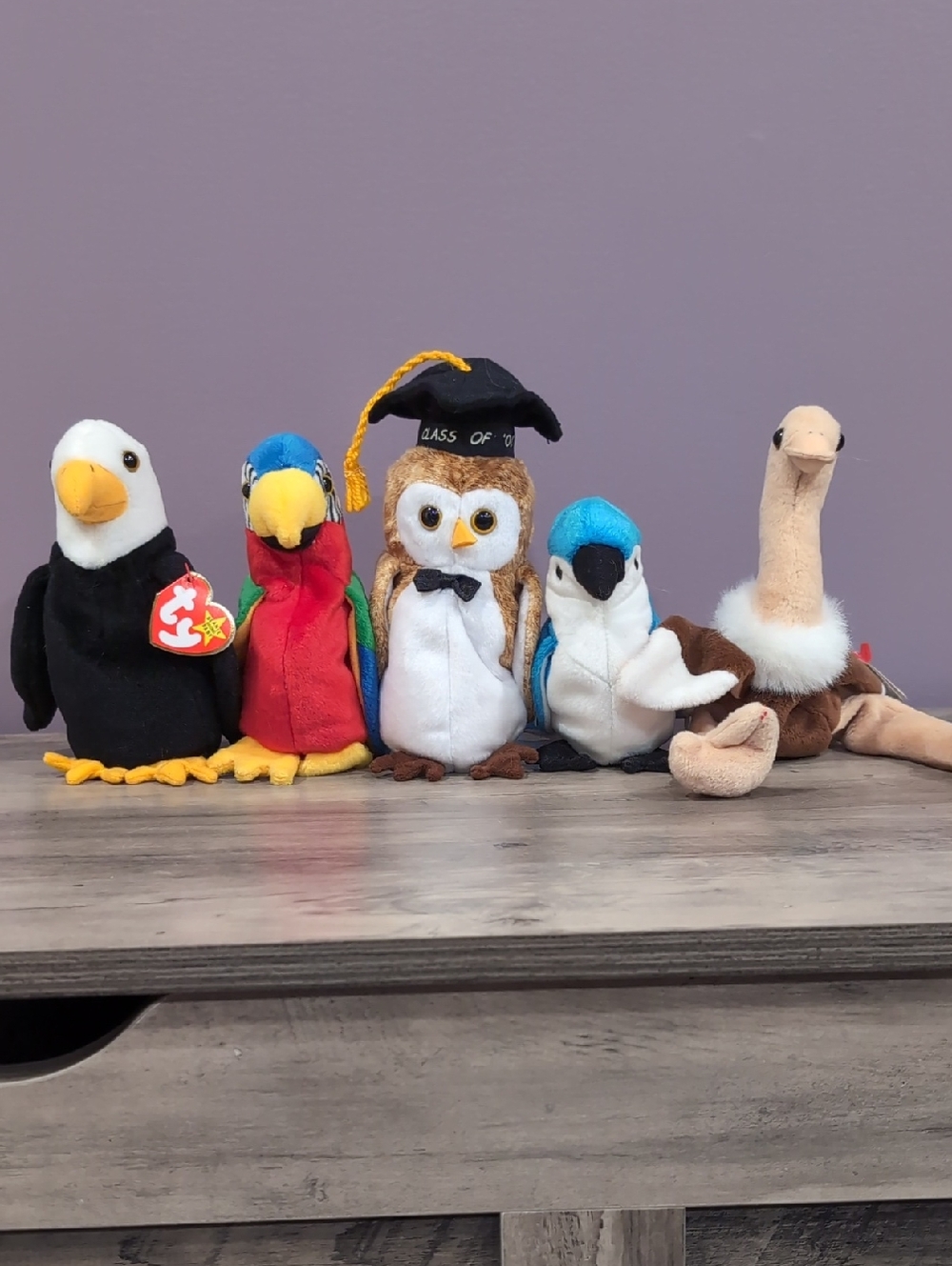 Ty Beanie Baby Birds Collection